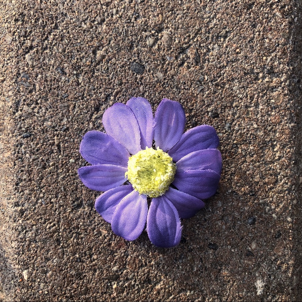 Purple Flower Pin💜🌼